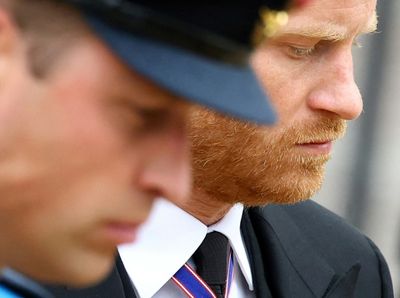 Prince Harry book gets critical mauling in UK