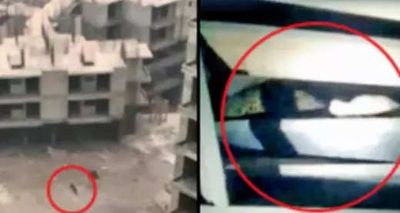 Leopard in Greater Noida society: Hydraulic crane deployed to scan under-construction towers