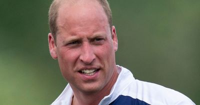 Harry takes swipe at William's 'alarming' hair loss as 'resemblance to Diana faded'