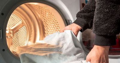 Tumble dryer and heated airer prices compared by experts for drying clothes