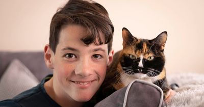 Mum's joy as autistic son forms 'special bond' with cat called Chicken