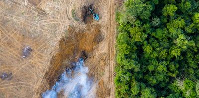 Deforestation: proposed EU import ban may fail to protect tropical rainforests and farmers – here's how it should work