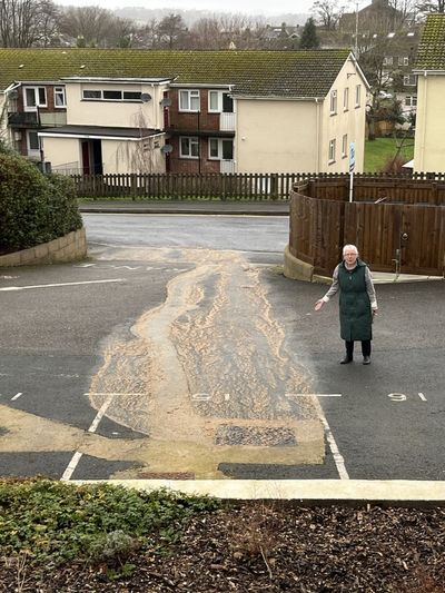 ‘Poo coming out of shower’: Residents plagued by sewage issues forced to flee homes