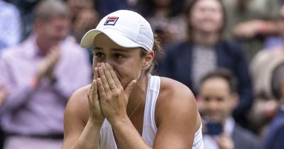 Ash Barty announces pregnancy with adorable picture of 'protective big sister'