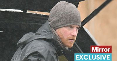 'Grim' Prince Harry has 'haunted eye expression' and is 'keen to retreat', says expert