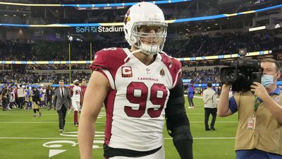 Wisconsin Great JJ Watt Received Taxidermied Badger From Fan