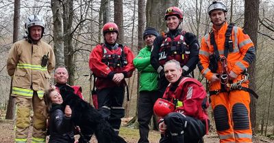 Belfast pup rescued from forest cave 9 days after she fell into waterfall on family walk