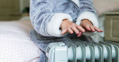 Social welfare Ireland: Two little known payments that could help pay your gas and electricity bills