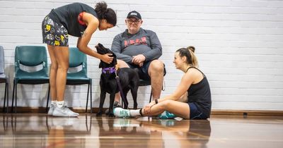 The dog bringing joy to the Canberra Capitals