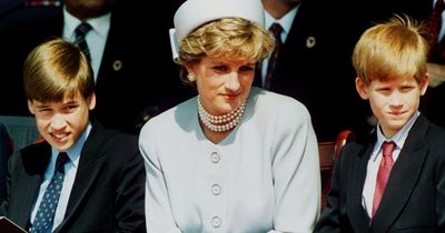 Prince Harry convinced himself Princess Diana faked her death and was in hiding