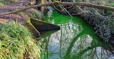 Bristol stream turns greens and baffles locals