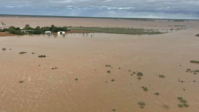Kimberley pastoralists fear property damage, stock losses from floods will be severe