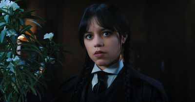 Wednesday season two has been confirmed by Netflix