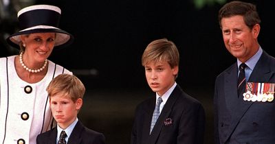 Harry's harrowing hours after Charles appeared 'like ghost' to tell him mum died