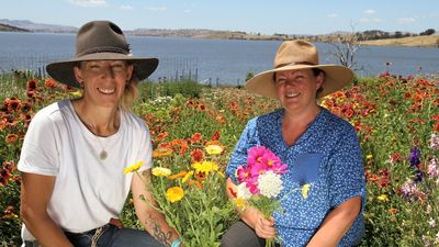 Australian flower industry booms during COVID pandemic as consumers opt for locally grown