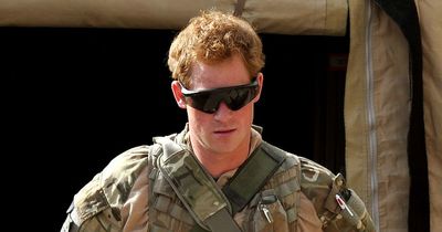 'Prince Harry should be troubled by army backlash as not only royals damaged by book'
