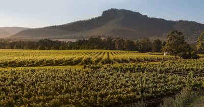 Going for Broke: so much to see in Hunter