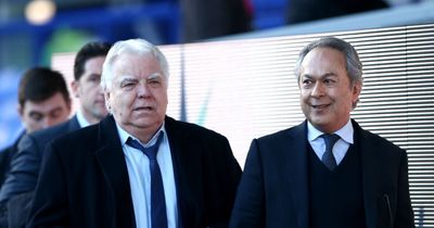 Farhad Moshiri 'in talks' with Qatar executives over Everton Stadium deal