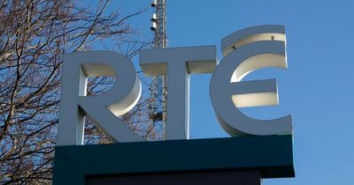 Rattier Telefís Eireann - RTE canteen shut down because of rodent fears