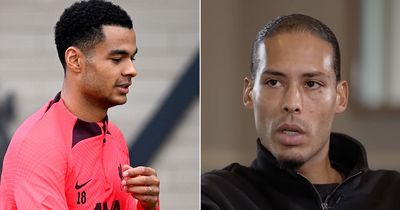 Virgil van Dijk doubles down on Cody Gakpo prediction as he prepares for Liverpool debut