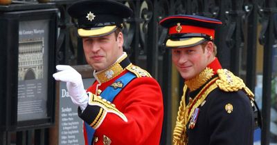 Prince Harry says being best man at William's wedding was 'a bare-faced lie'