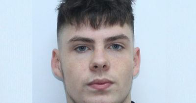 Gardaí renew appeal to find teenager missing from Mountmellick since day after St Stephen's Day