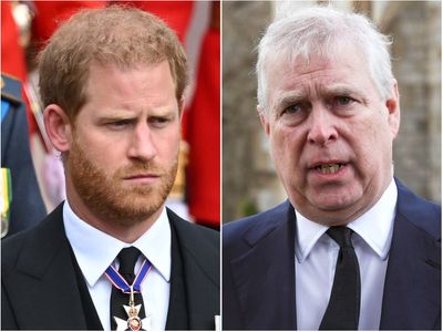 Harry addresses Prince Andrew scandal in new book, reports claim