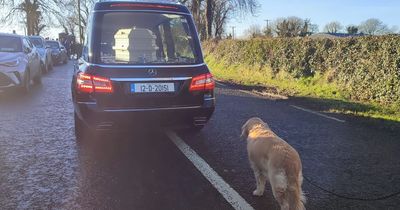 Irishwoman's dog pictured following her coffin at funeral in heartbreaking tribute