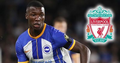 Brighton slash Moises Caicedo price tag by £20m as Liverpool on red alert for midfielder