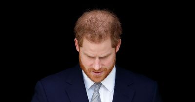 'Prince Harry's claim that he killed 25 Taliban fighters puts his family in real danger'