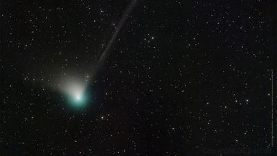 Move over Hale-Bopp: Once in 50,000-year comet may be visible to naked eye