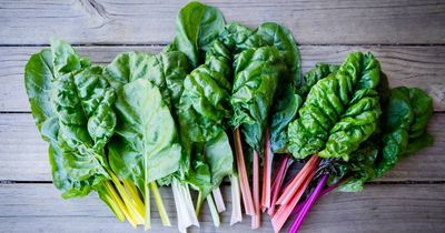 Whip up healthy 'ice-cream' from backyard chard