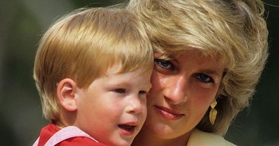 Prince Harry reveals he cried only ONCE after mum Diana died as he opens up on 'guilt'