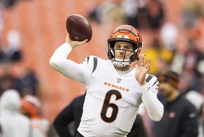 Bengals make roster move ahead of Week 18 vs. Ravens