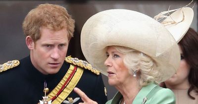 Camilla will be 'hurt' by Prince Harry's 'wicked' book, Queen consort's pal claims
