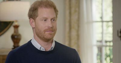 Prince Harry's friends could speak out against him 'to debunk some of his claims'