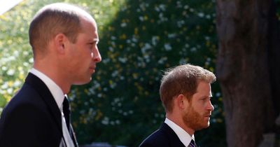Prince William 'lunged at Harry' and 'used secret Diana code phrase' after Philip's funeral