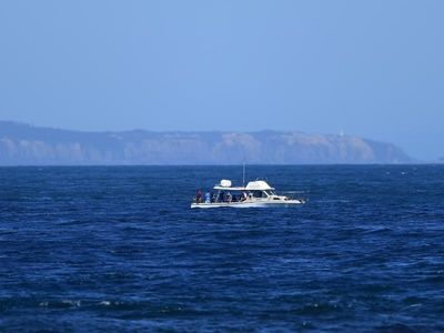 Search continues for 20yo missing in surf