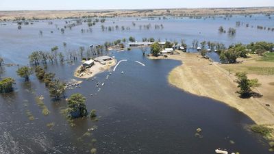 Flooding forces Mypolonga family to sell dairy farm after property completely submerged