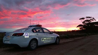 Man killed in crash with truck carrying camels on Victor Harbor Road, south of Adelaide