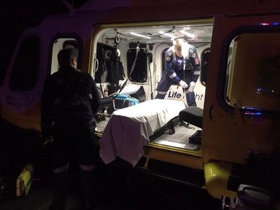 Child becomes fifth jellyfish sting victim