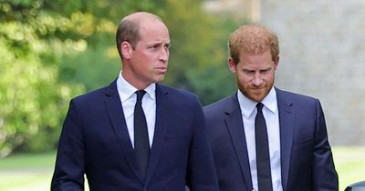 Worried Prince William told Harry he has been 'brainwashed by therapist' in royal row