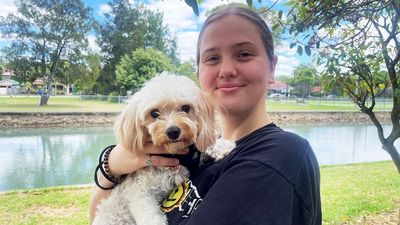 NSW Labor unveils plan to help tenants have pets in rental properties