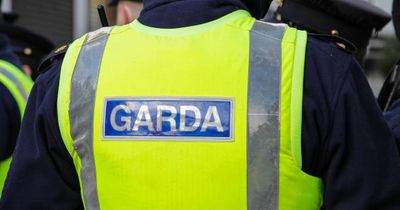 Man accused of attack on woman at his Dublin 4 apartment bailed with strict conditions