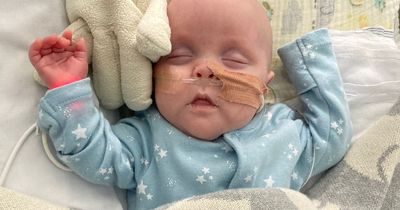 Baby born at 23 weeks who weighed the same as a loaf of bread had just a one in five chance of survival