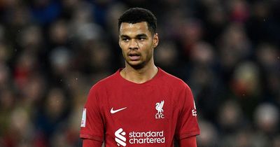 "Some sloppy moments" - Cody Gakpo makes clear what he expects after Liverpool debut