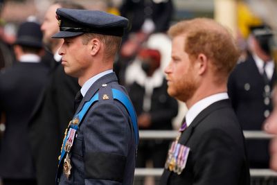 Prince Harry claims William ‘lunged at him and used secret Diana code phrase’ after Oprah interview