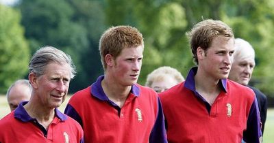 Seven questions Prince Harry has yet to answer as bombshell book Spare hits shelves