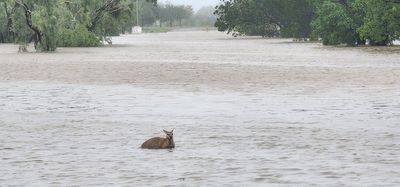 Hundreds airlifted to safety by military helicopters as northwest Australia sees ‘once in a century’ floods