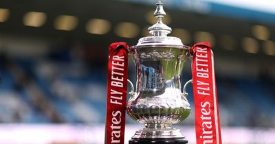 FA Cup fourth round draw simulated as Manchester United and Man City face Championship ties